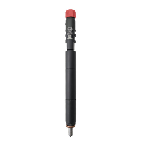 INYECTOR DIÉSEL Delphi EJBR04501D Ssang Yong Actyon 2.0 Xdi A6640170121