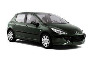 Inyectores diésel Peugeot 307