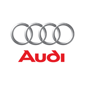Inyectores Diésel Audi