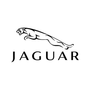 Inyectores Diésel Jaguar
